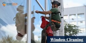 Window Cleaning