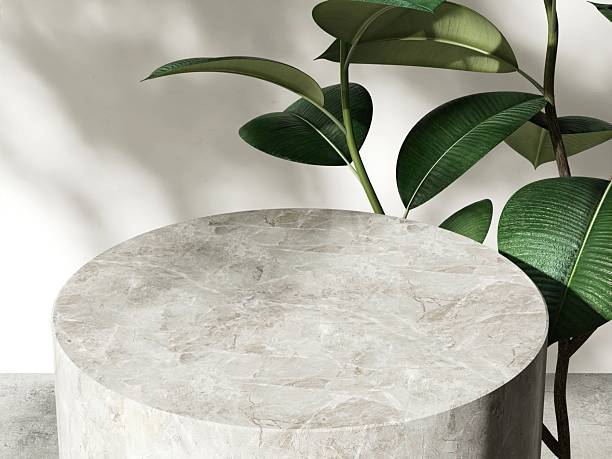 Marble Coffee Table Decor