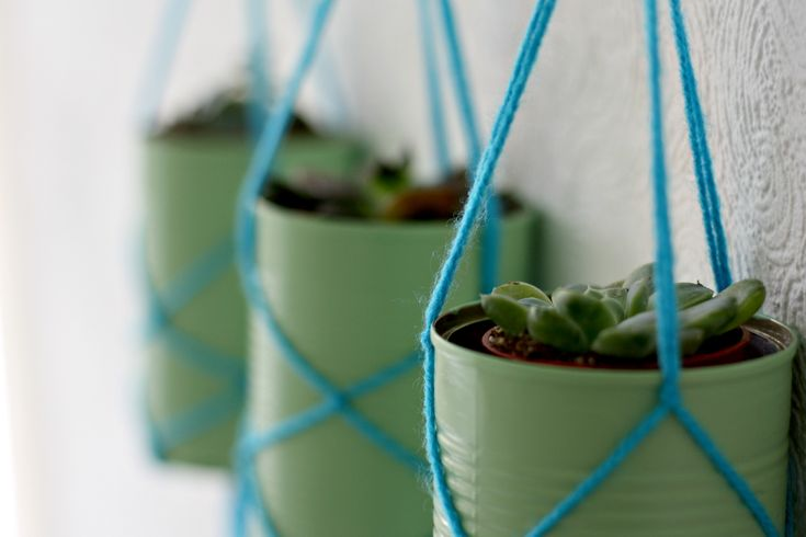 Recycled Tin Can Planters