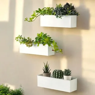 Wall-Mounted Mini Succulent Planter