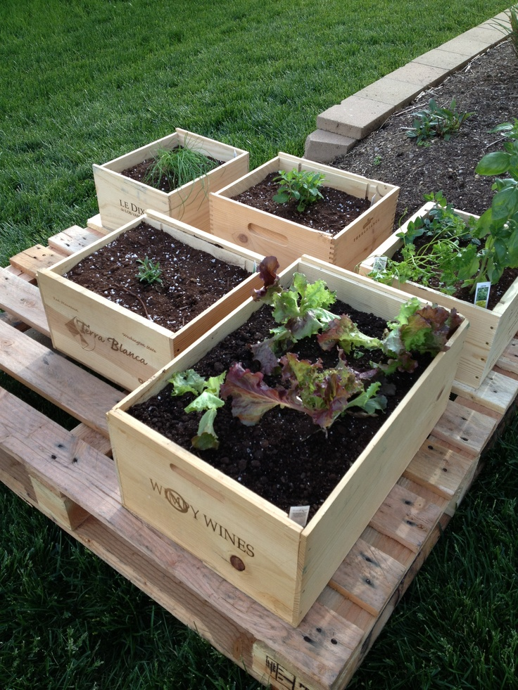 DIY Crate Planter Boxes