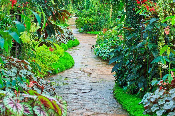 Eye‑Catching Garden Pathways for Easy Flow and Function