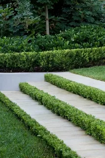 Layered Planting With Year‑Round Interest