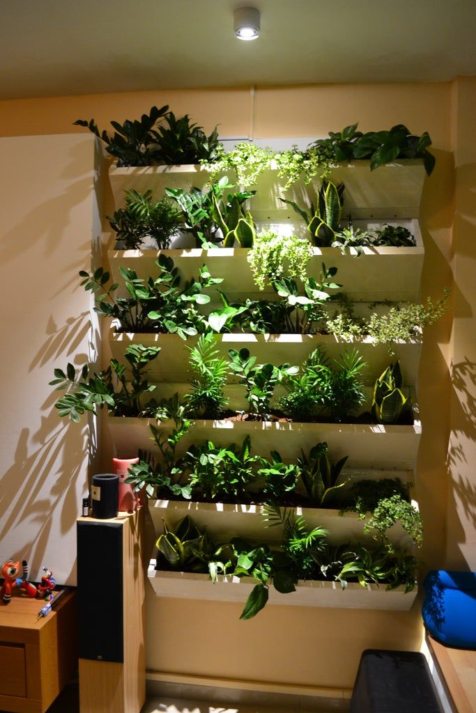 Vertical Gardens and Trellises to Maximize Space