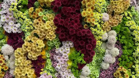 Seasonal Flower Displays for Year-Long Appeal