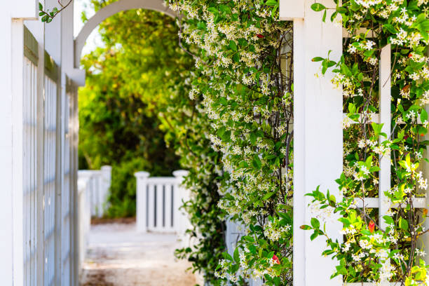 Pergola Garden With Climbing Plants
