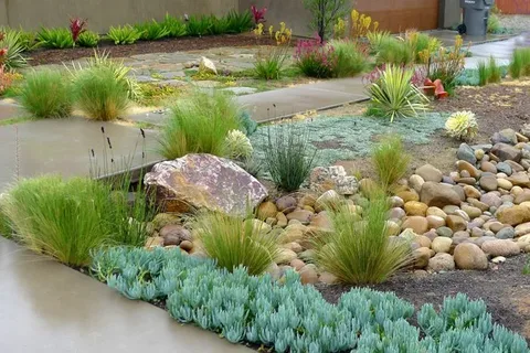 Xeriscape Garden With Drought-Tolerant Plants