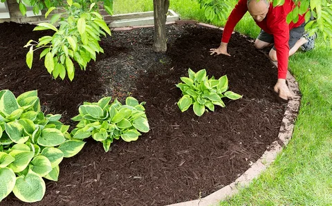 Mulch Garden Beds for Weed Control