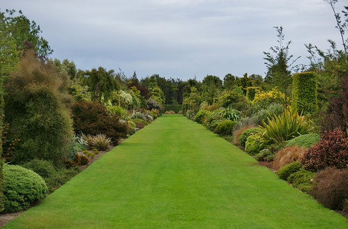 Native Shrub Border Garden