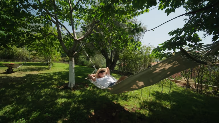 Simple Relaxation Garden With Hammock