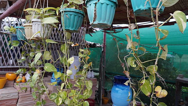 Use Tiered & Container Planters