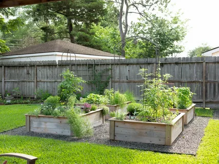 Use Layouts And Raised Beds