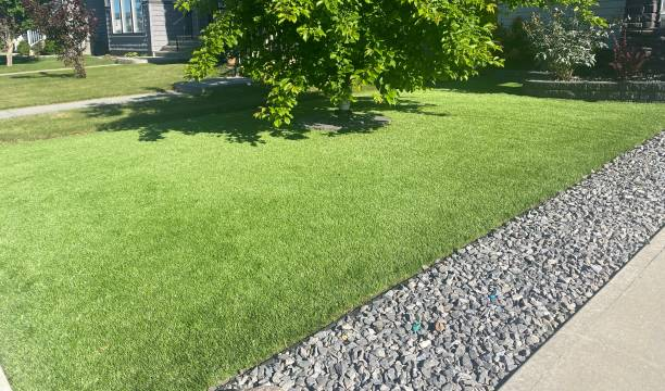 Artificial Grass Front Yard