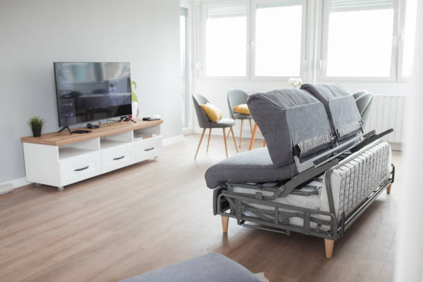 Choose a Sofa Bed for Double-Duty Living