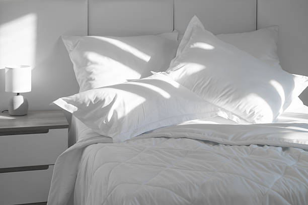 Luxury Throw Pillows