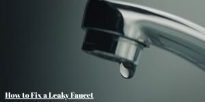 How to Fix a Leaky Faucet