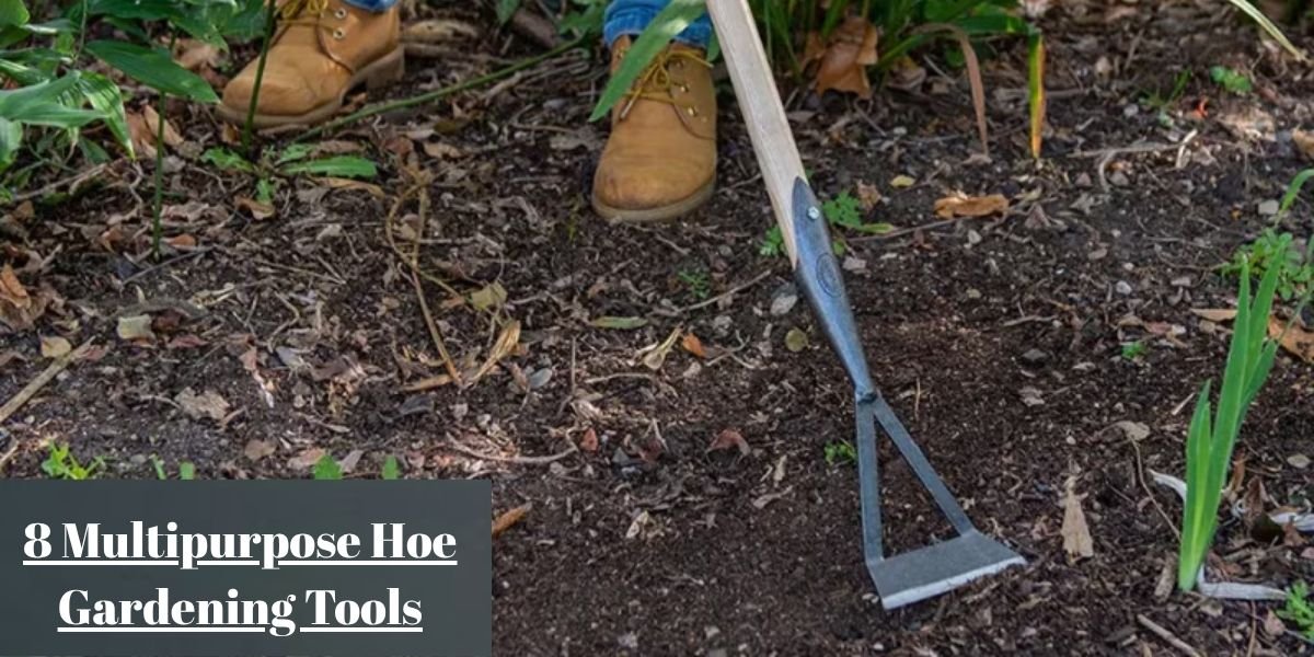 Hoe the Gardening Tools