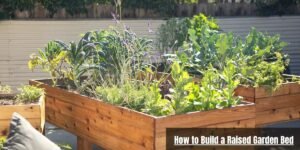 How to Build a Raised Garden Bed